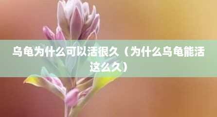 乌龟为什么可以活很久（为什么乌龟能活这么久）