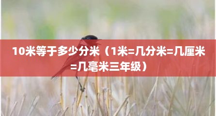 10米等于多少分米（1米=几分米=几厘米=几毫米三年级）