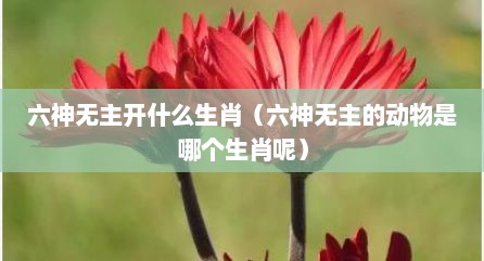 六神无主开什么生肖（六神无主的动物是哪个生肖呢）