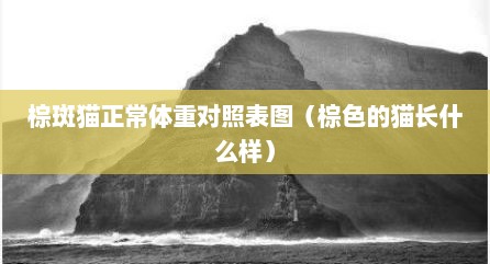 棕斑猫正常体重对照表图（棕色的猫长什么样）