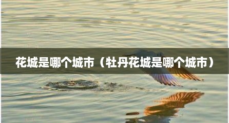 花城是哪个城市（牡丹花城是哪个城市）