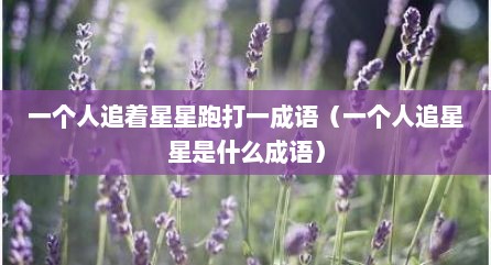 一个人追着星星跑打一成语（一个人追星星是什么成语）