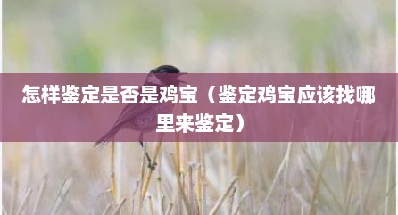 怎样鉴定是否是鸡宝（鉴定鸡宝应该找哪里来鉴定）