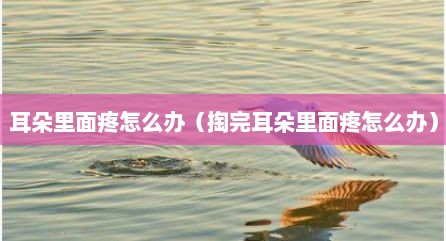 耳朵里面疼怎么办（掏完耳朵里面疼怎么办）