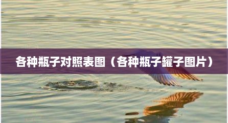 各种瓶子对照表图（各种瓶子罐子图片）
