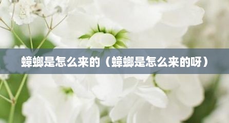 蟑螂是怎么来的（蟑螂是怎么来的呀）