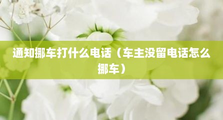 通知挪车打什么电话（车主没留电话怎么挪车）