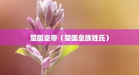 楚国皇帝（楚国皇族姓氏）