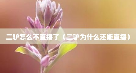 二驴怎么不直播了（二驴为什么还能直播）