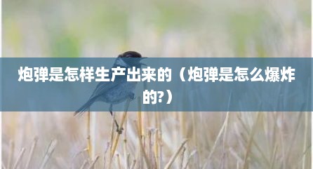 炮弹是怎样生产出来的（炮弹是怎么爆炸的?）