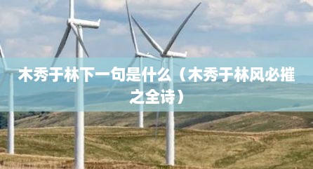 木秀于林下一句是什么（木秀于林风必摧之全诗）