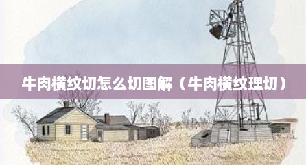 牛肉横纹切怎么切图解（牛肉横纹理切）