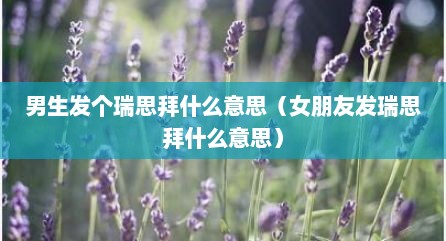 男生发个瑞思拜什么意思（女朋友发瑞思拜什么意思）