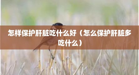 怎样保护肝脏吃什么好（怎么保护肝脏多吃什么）