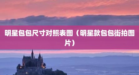 明星包包尺寸对照表图（明星款包包街拍图片）
