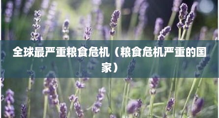 全球最严重粮食危机（粮食危机严重的国家）
