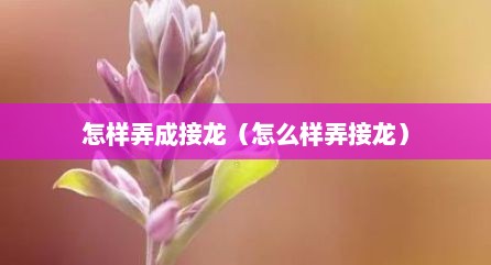 怎样弄成接龙（怎么样弄接龙）