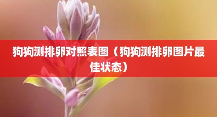 狗狗测排卵对照表图（狗狗测排卵图片最佳状态）