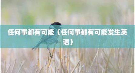 任何事都有可能（任何事都有可能发生英语）