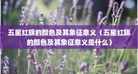 五星红旗的颜色及其象征意义（五星红旗的颜色及其象征意义是什么）