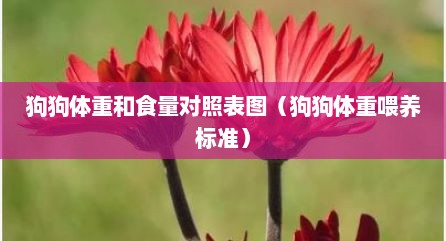 狗狗体重和食量对照表图（狗狗体重喂养标准）