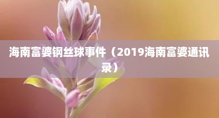 海南富婆钢丝球事件（2019海南富婆通讯录）