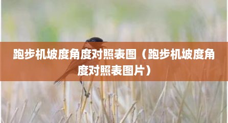 跑步机坡度角度对照表图（跑步机坡度角度对照表图片）