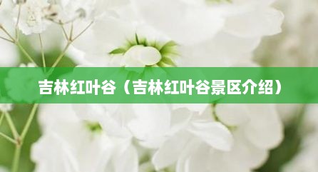 吉林红叶谷（吉林红叶谷景区介绍）