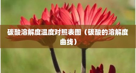 碳酸溶解度温度对照表图（碳酸的溶解度曲线）