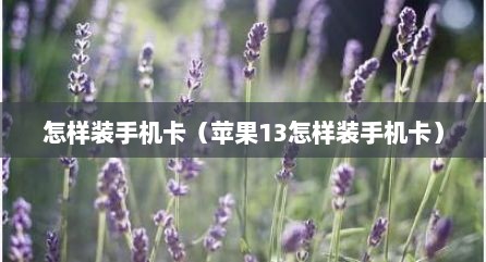 怎样装手机卡（苹果13怎样装手机卡）