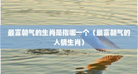 最富朝气的生肖是指哪一个（最富朝气的人猜生肖）