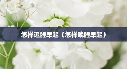 怎样迟睡早起（怎样晚睡早起）