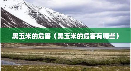 黑玉米的危害（黑玉米的危害有哪些）