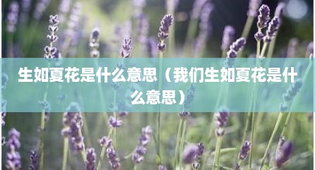 生如夏花是什么意思（我们生如夏花是什么意思）