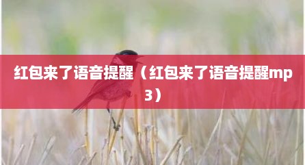红包来了语音提醒（红包来了语音提醒mp3）