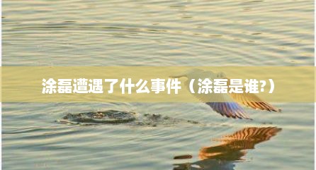 涂磊遭遇了什么事件（涂磊是谁?）