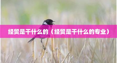 经贸是干什么的（经贸是干什么的专业）