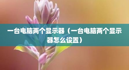 一台电脑两个显示器（一台电脑两个显示器怎么设置）