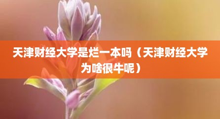 天津财经大学是烂一本吗（天津财经大学为啥很牛呢）