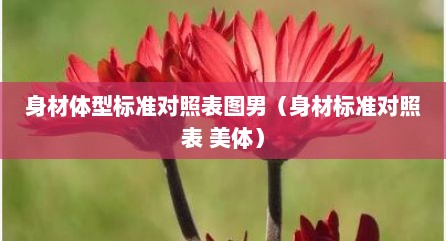 身材体型标准对照表图男（身材标准对照表 美体）