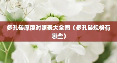 多孔砖厚度对照表大全图（多孔砖规格有哪些）