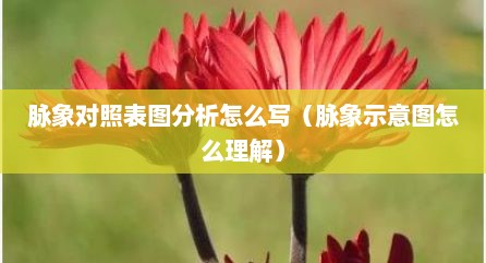 脉象对照表图分析怎么写（脉象示意图怎么理解）