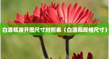 白酒瓶展开图尺寸对照表（白酒瓶规格尺寸）