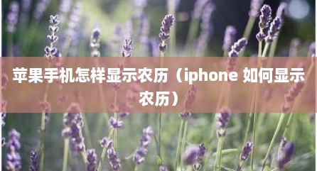 苹果手机怎样显示农历（iphone 如何显示农历）