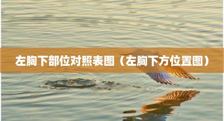 左胸下部位对照表图（左胸下方位置图）