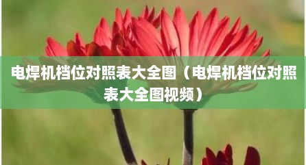 电焊机档位对照表大全图（电焊机档位对照表大全图视频）