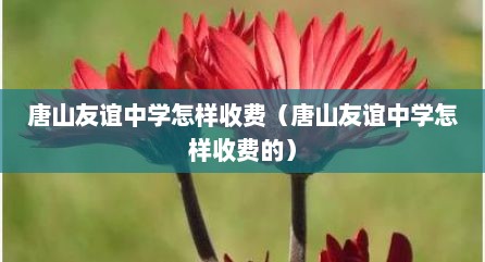唐山友谊中学怎样收费（唐山友谊中学怎样收费的）