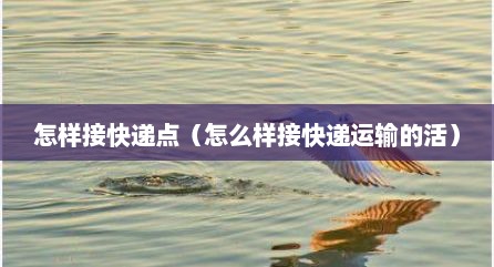 怎样接快递点（怎么样接快递运输的活）