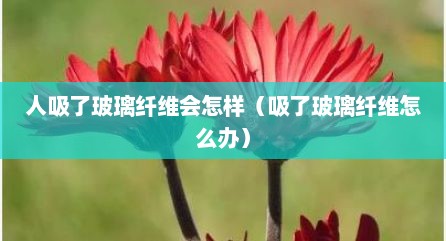 人吸了玻璃纤维会怎样（吸了玻璃纤维怎么办）