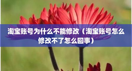 淘宝账号为什么不能修改（淘宝账号怎么修改不了怎么回事）